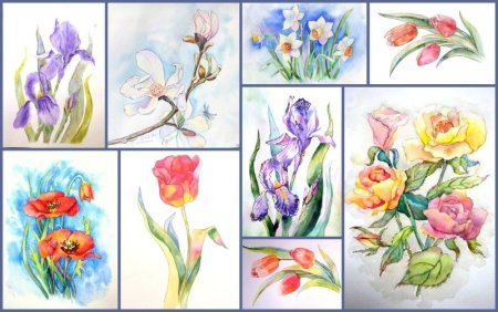 Этапы рисования цветов