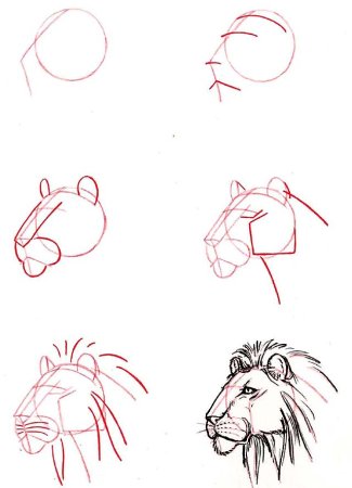 Этапы штрихования натюрморта