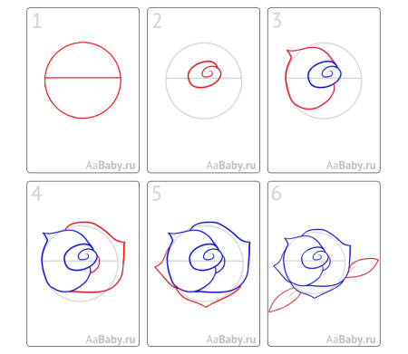 Поэтапный рисунок розы для детей 5 лет