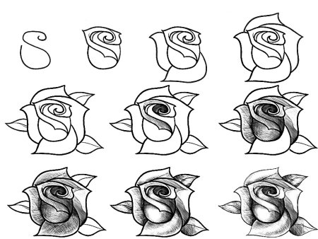 Рисунки по этапно для начинающих