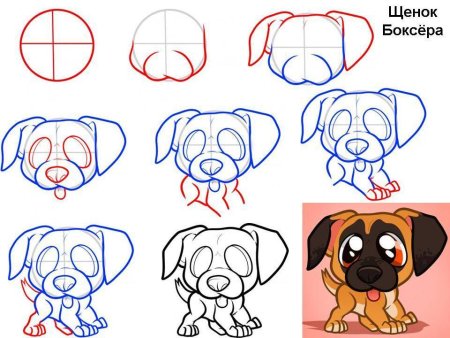Как рисовать собаку поэтапно