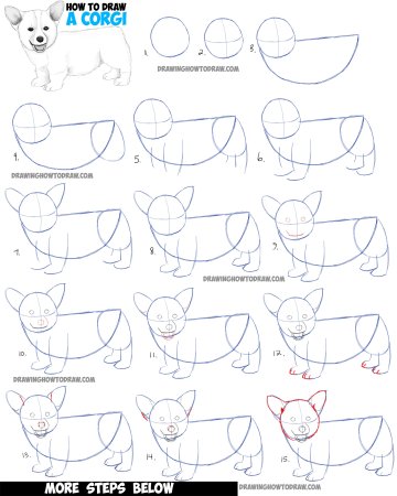 Как рисовать собаку поэтапно