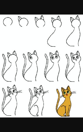 Поэтапное рисование манула для детей