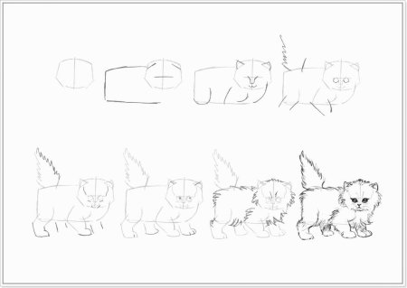Рисование кошки пошагово