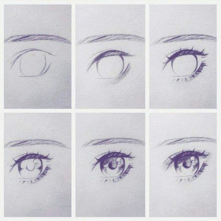 Роза поэтапно карандашом для начинающих