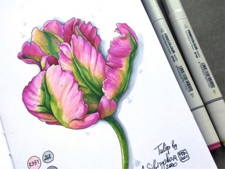 Цветы маркерами для скетчинга для начинающих