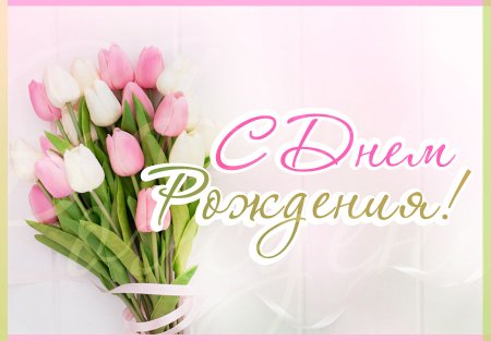 С днём рождения тюльпаны