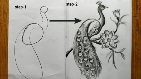 Рисунки простым карандашом