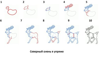 Поэтапное рисование оленя для детей