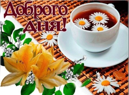 Добрый день картинки