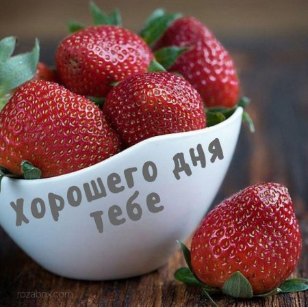 Хороший день