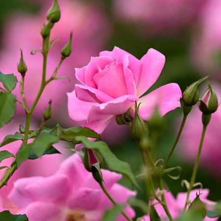 Современные открытки