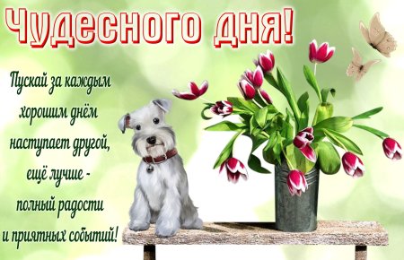 Открытки с изображением солнца