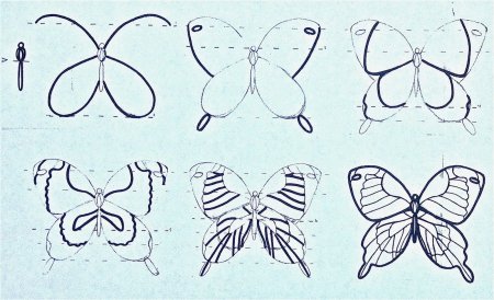Этапы рисования бабочки для детей