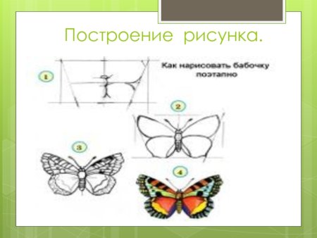 Этапы рисования бабочки