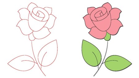 Рисунки карандашом цветы для начинающих