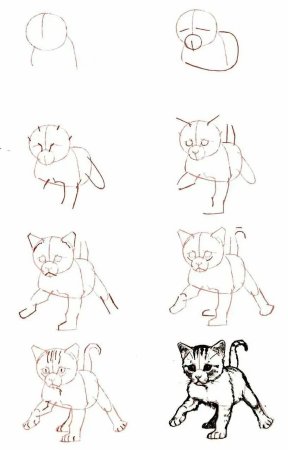 Этапы рисования кошки