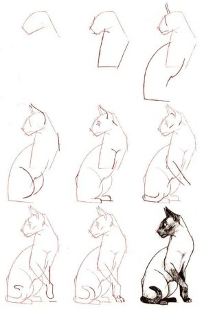Кот для рисования