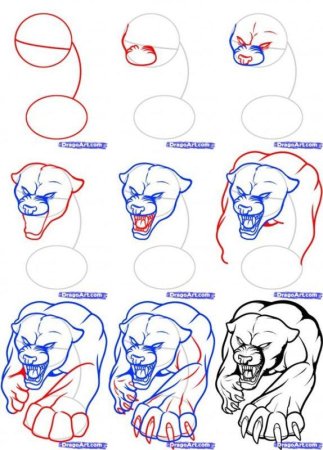 Волк рисунок поэтапно