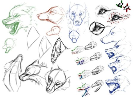 Поэтапное рисование тигренка для детей