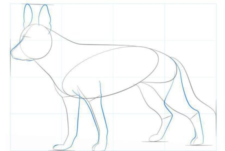 Немецкая овчарка сбоку рисунок