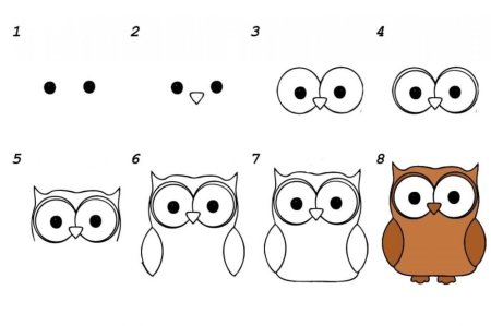 Поэтапное рисование Совы