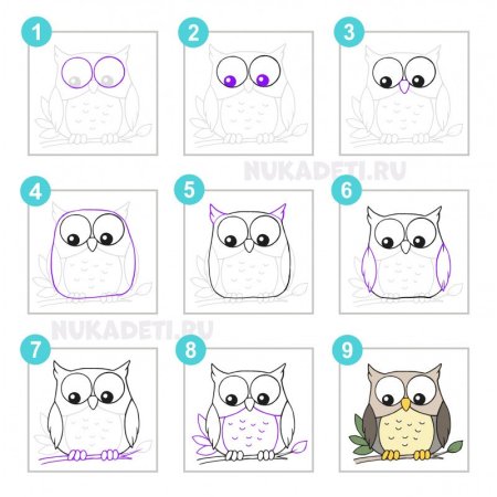 Как нарисовать сову карандашом поэтапно