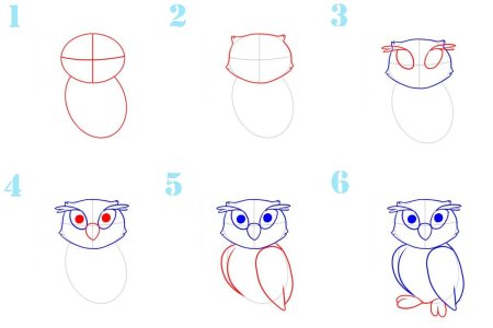 Рисуем сову поэтапно карандашом