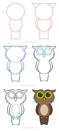 Как нарисовать сову карандашом поэтапно