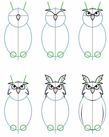 Пошаговое рисование Совы