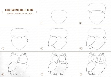 Шаблон Совы для средней группы по рисованию