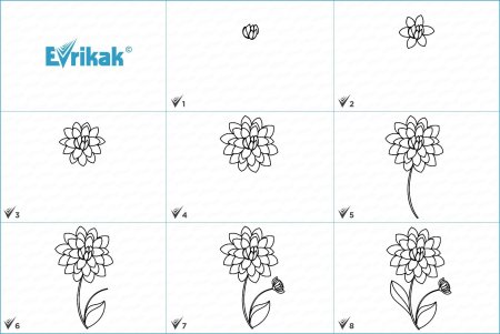 Схема рисования розы карандашом