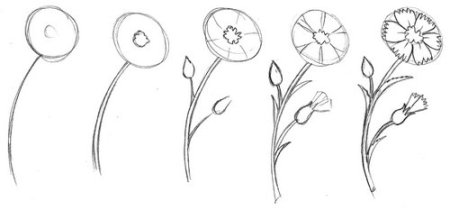Схемы рисования цветов