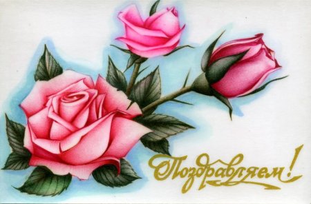 С днем рождения лиса