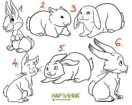 Рисование зайчика