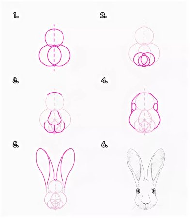 Рисование зайчика 1 класс