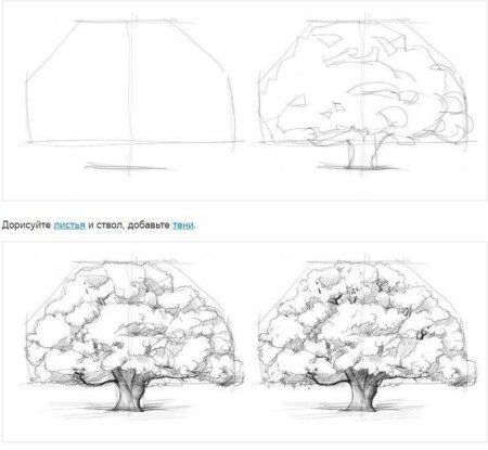 Поэтапное рисование осеннего дерева