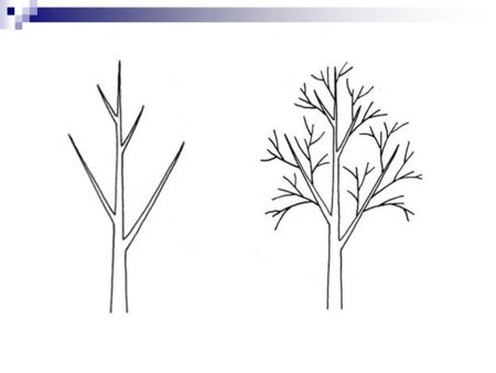 Этапы рисования дерева для дошкольников