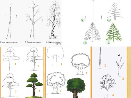 Уроки рисования дерево