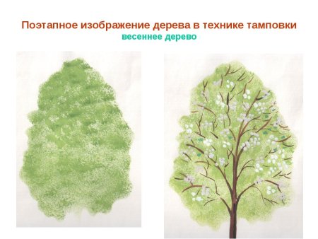 Этапы рисования дерева