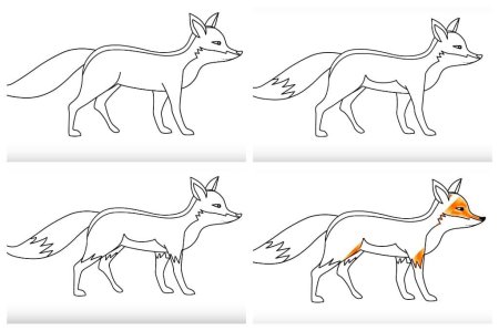 Этапы рисования лисы для дошкольников