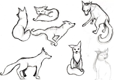 Рисунок лисы пошагово для детей