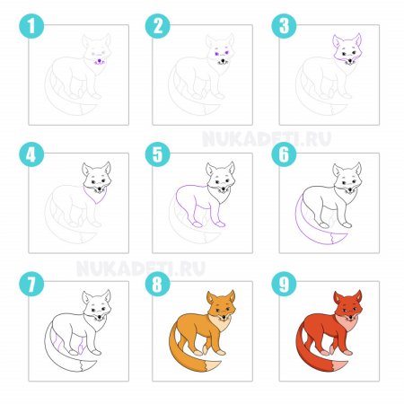 Поэтапное рисование волка