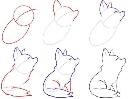 How to draw a cute Fox