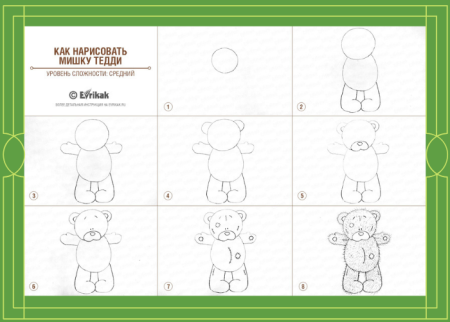 Пошаговое рисование медвежонка