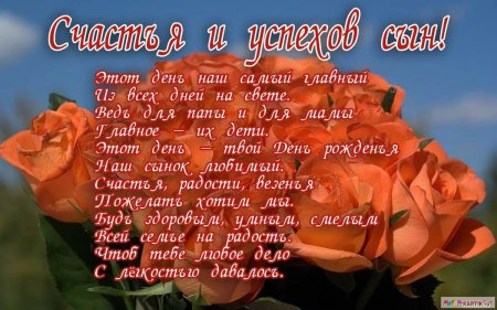 Поздравления с днём рождения сыгу