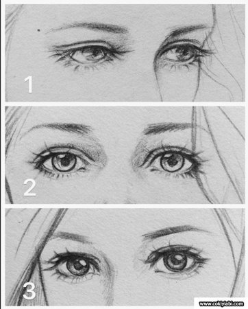 Рисуем сову поэтапно