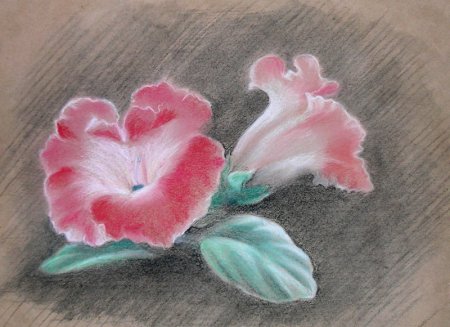 Сухая пастель для рисования