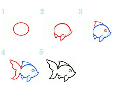 Поэтапное рисование рыбки