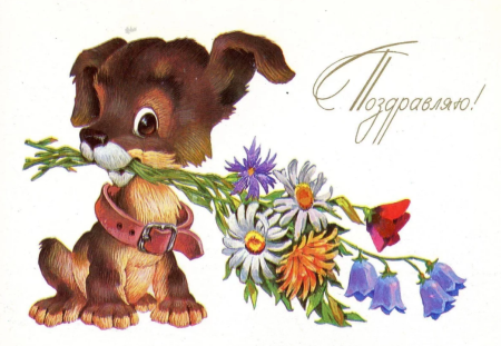 С днем рождения